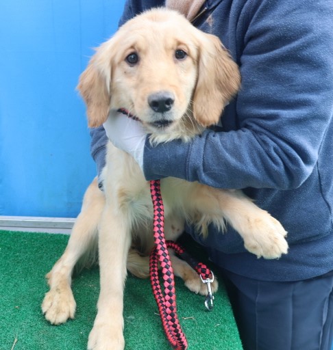 제주 동물보호센터_450650202500011