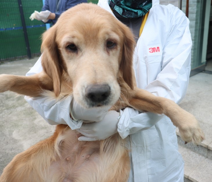 제주 동물보호센터_450650202500016