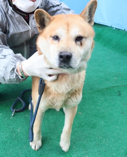 제주 동물보호센터_450650202500026