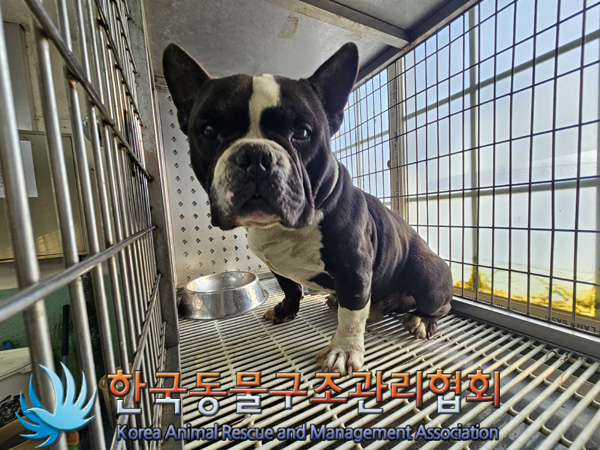 종료(반환) 아메리…