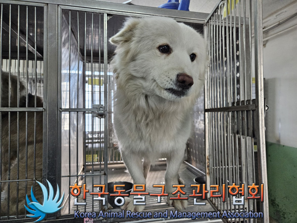 한국동물구조관리협회_441560202500001