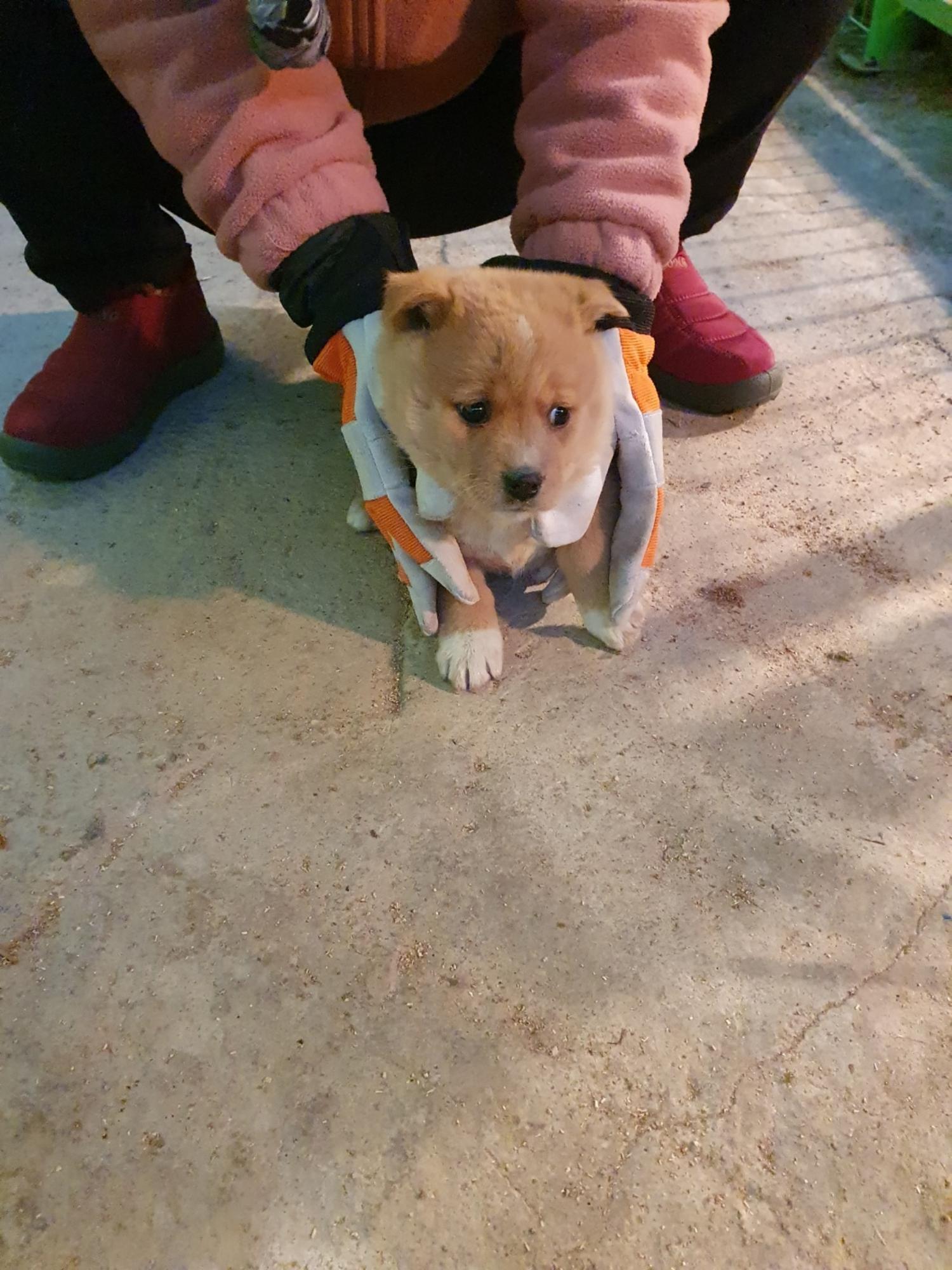 학교임시동물보호센터_446496202500013