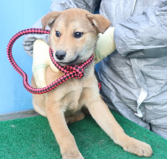 제주 동물보호센터_450650202500041