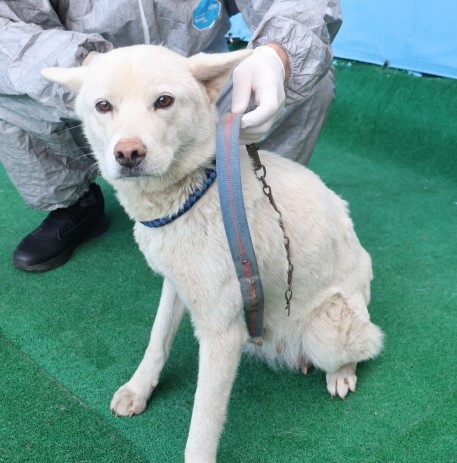 제주 동물보호센터_450650202500044