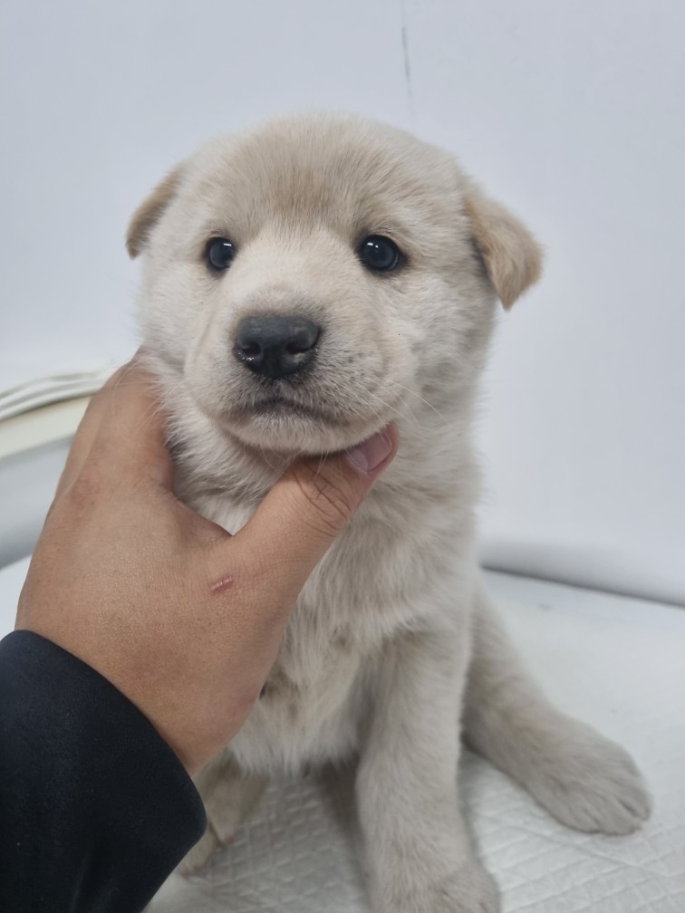 군위종합동물병원_427514202500008