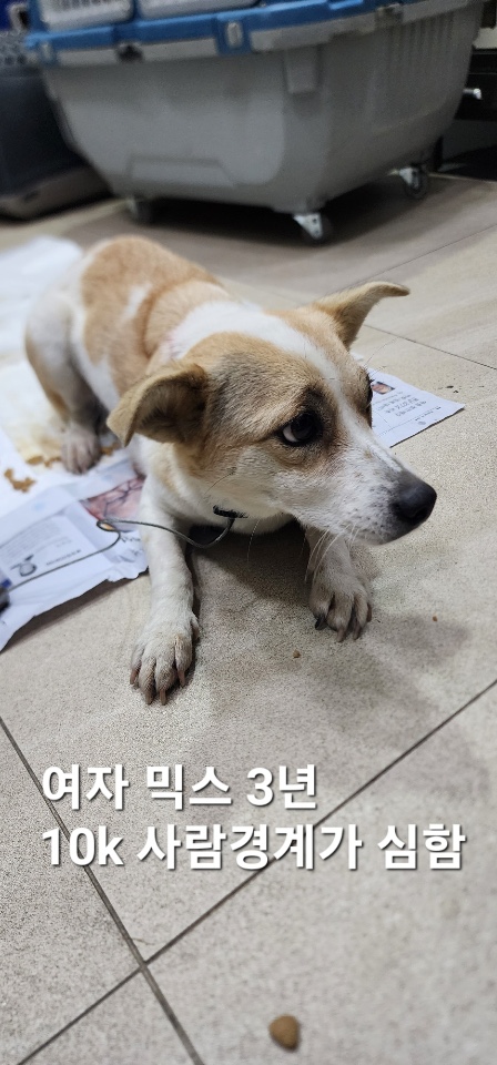 옥천동물병원_443443202500001
