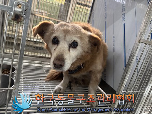 한국동물구조관리협회_441560202500005