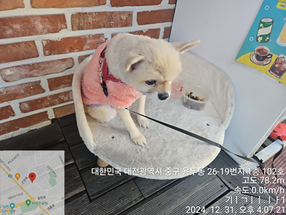 대전동물보호센터_430365202400618