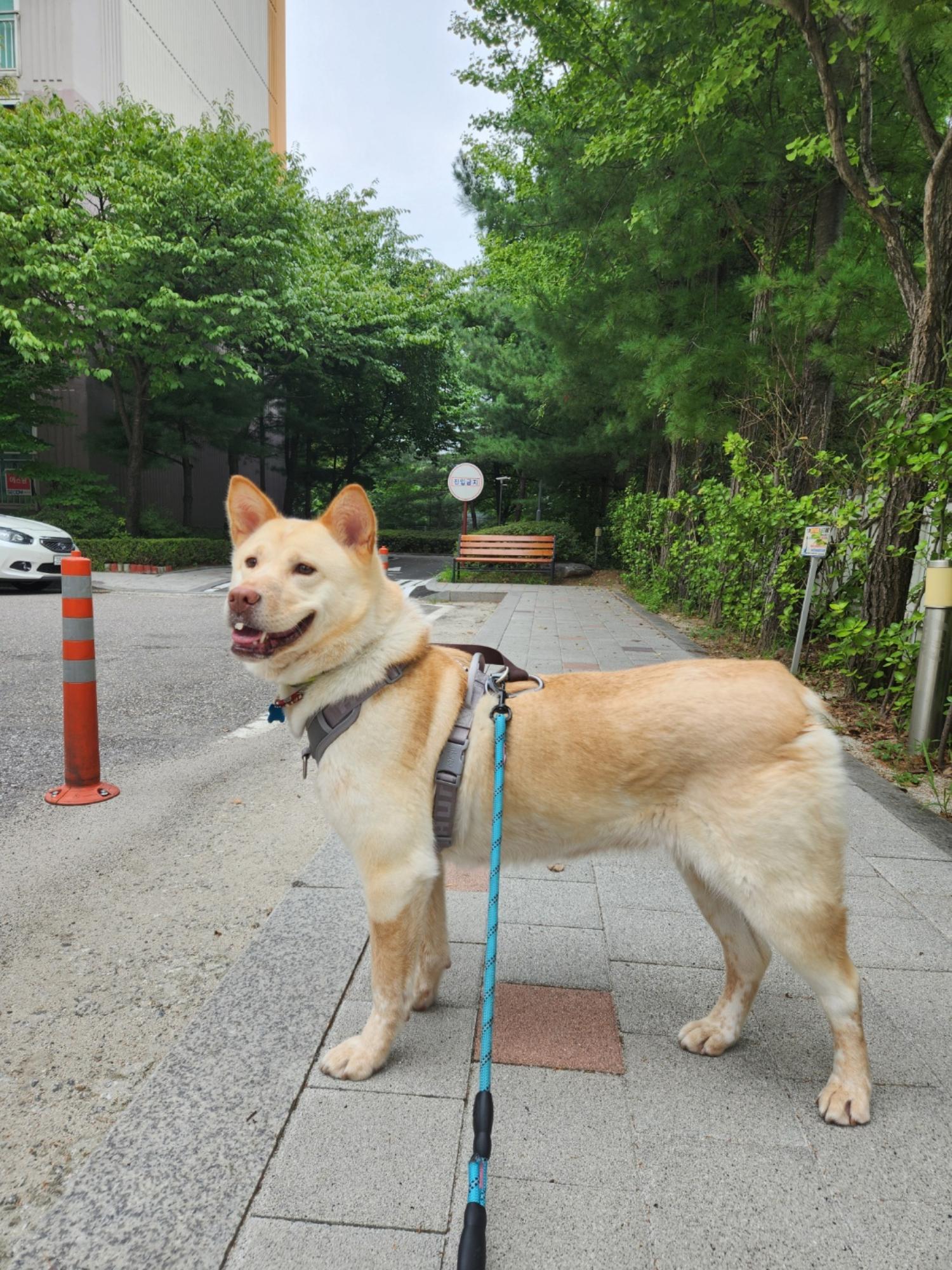 구리반려동물문화센터_441398202500003