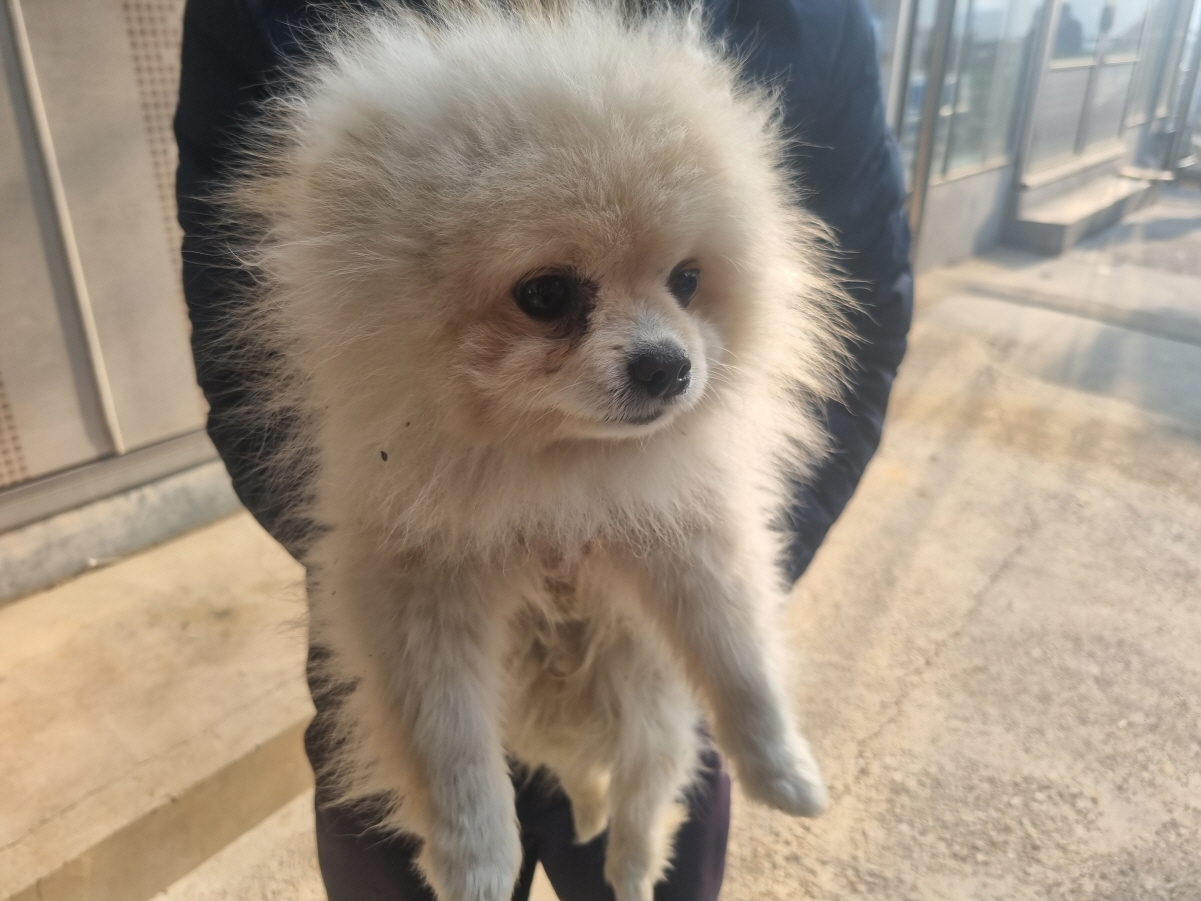 양산시 동물보호센터_448538202500001