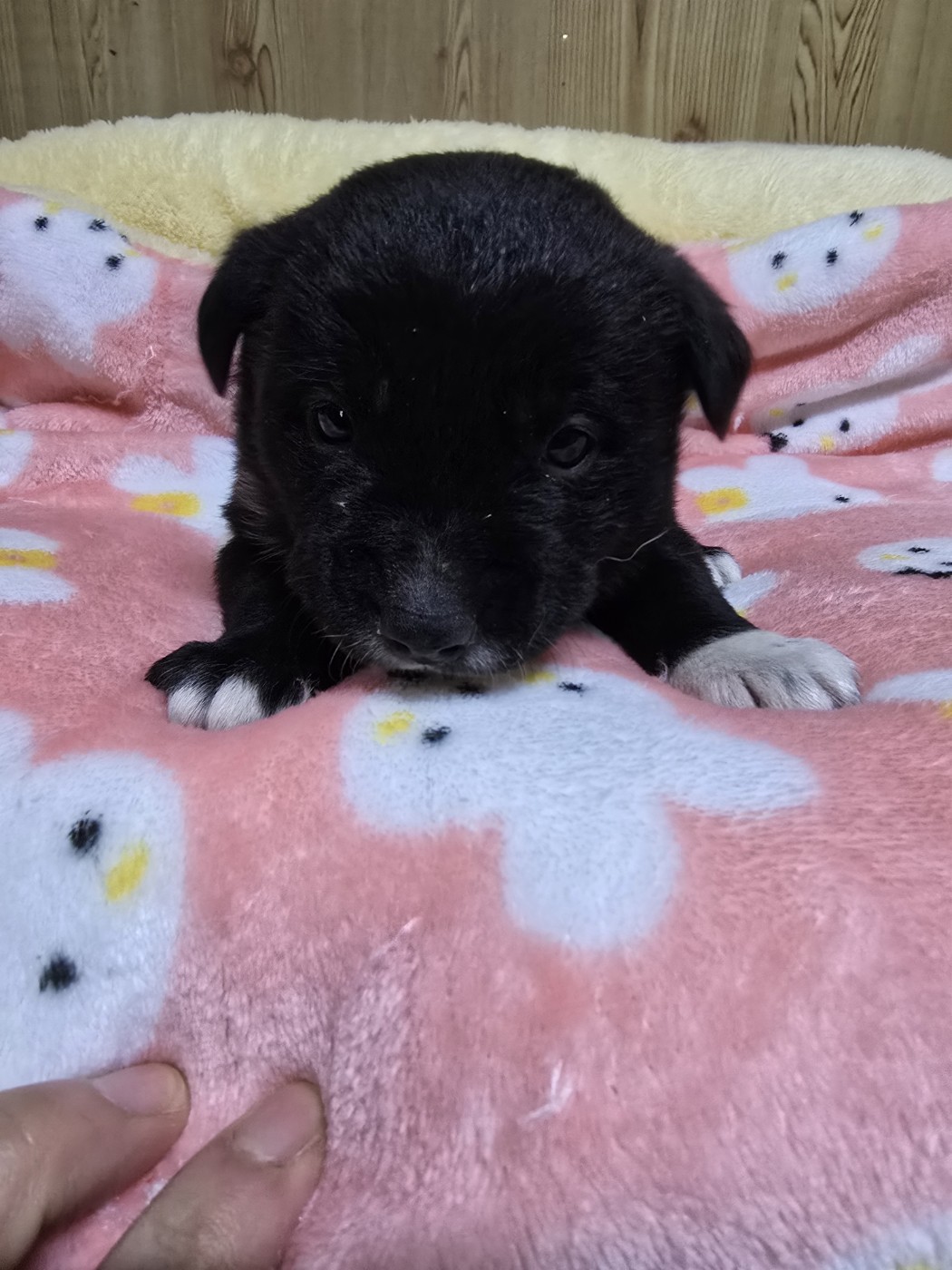 밀양시 동물보호센터_448536202500010