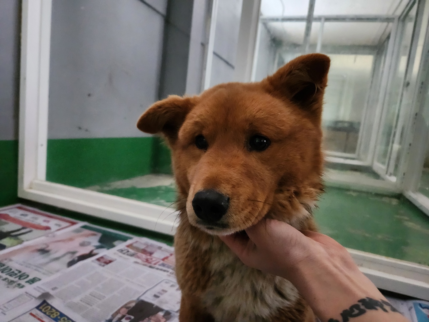 한국야생동물보호협회_441390202500003