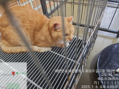 대전동물보호센터_430365202500004