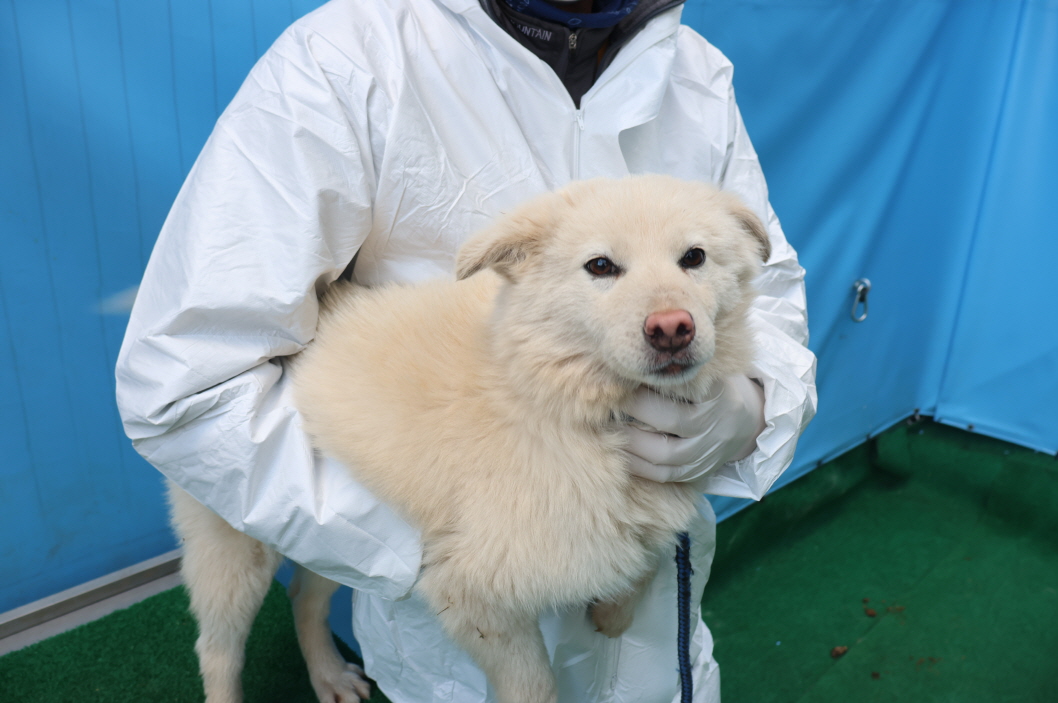제주 동물보호센터_450650202500072