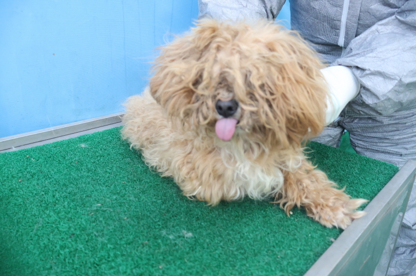 제주 동물보호센터_450650202500073