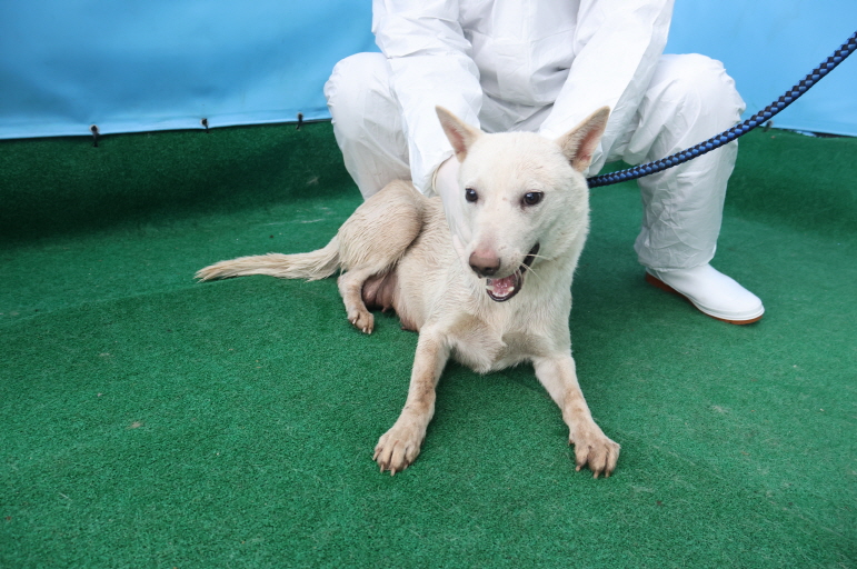 제주 동물보호센터_450650202500059