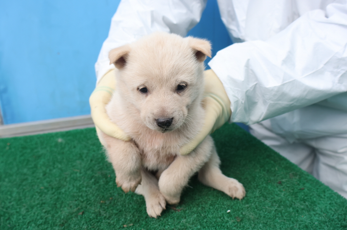 제주 동물보호센터_450650202500062