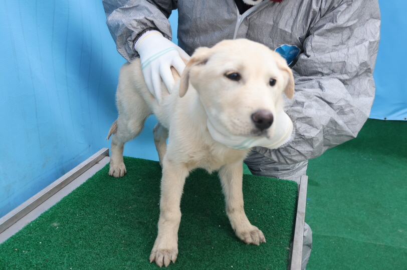 제주 동물보호센터_450650202500066