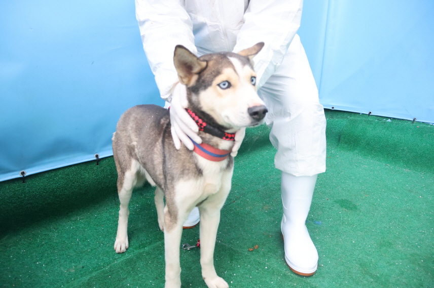 제주 동물보호센터_450650202500069