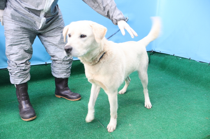 제주 동물보호센터_450650202500055