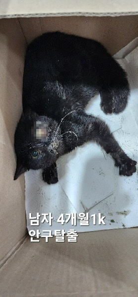옥천동물병원_443443202500008