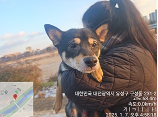 대전동물보호센터_430367202500013