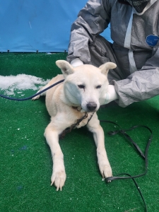 제주 동물보호센터_450650202500077