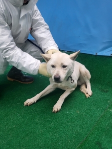 제주 동물보호센터_450650202500076