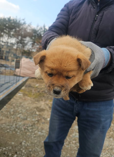 금일동물보호센터_444460202500016