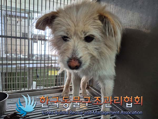 한국동물구조관리협회_441560202500009