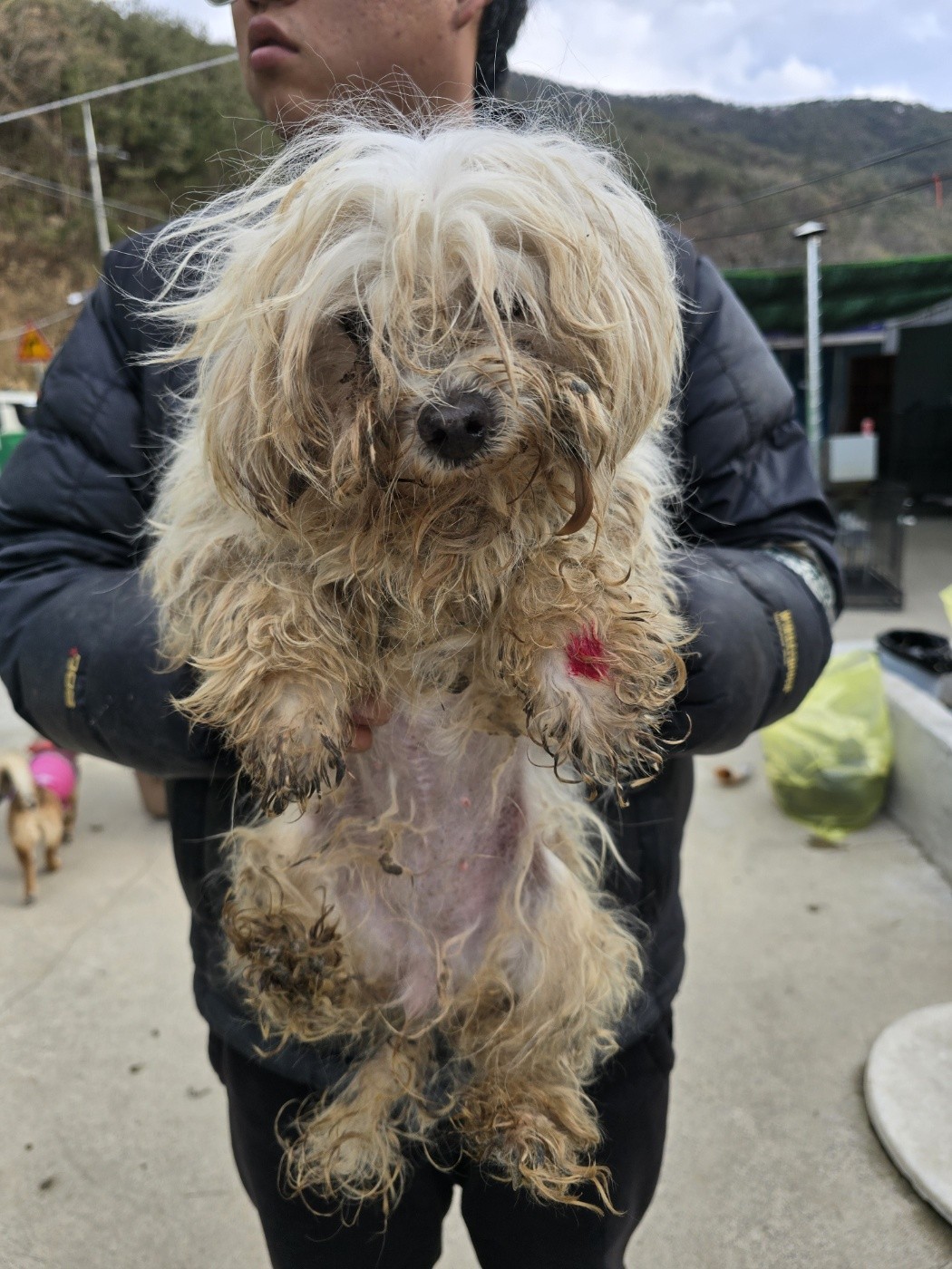 밀양시 동물보호센터_448536202500022