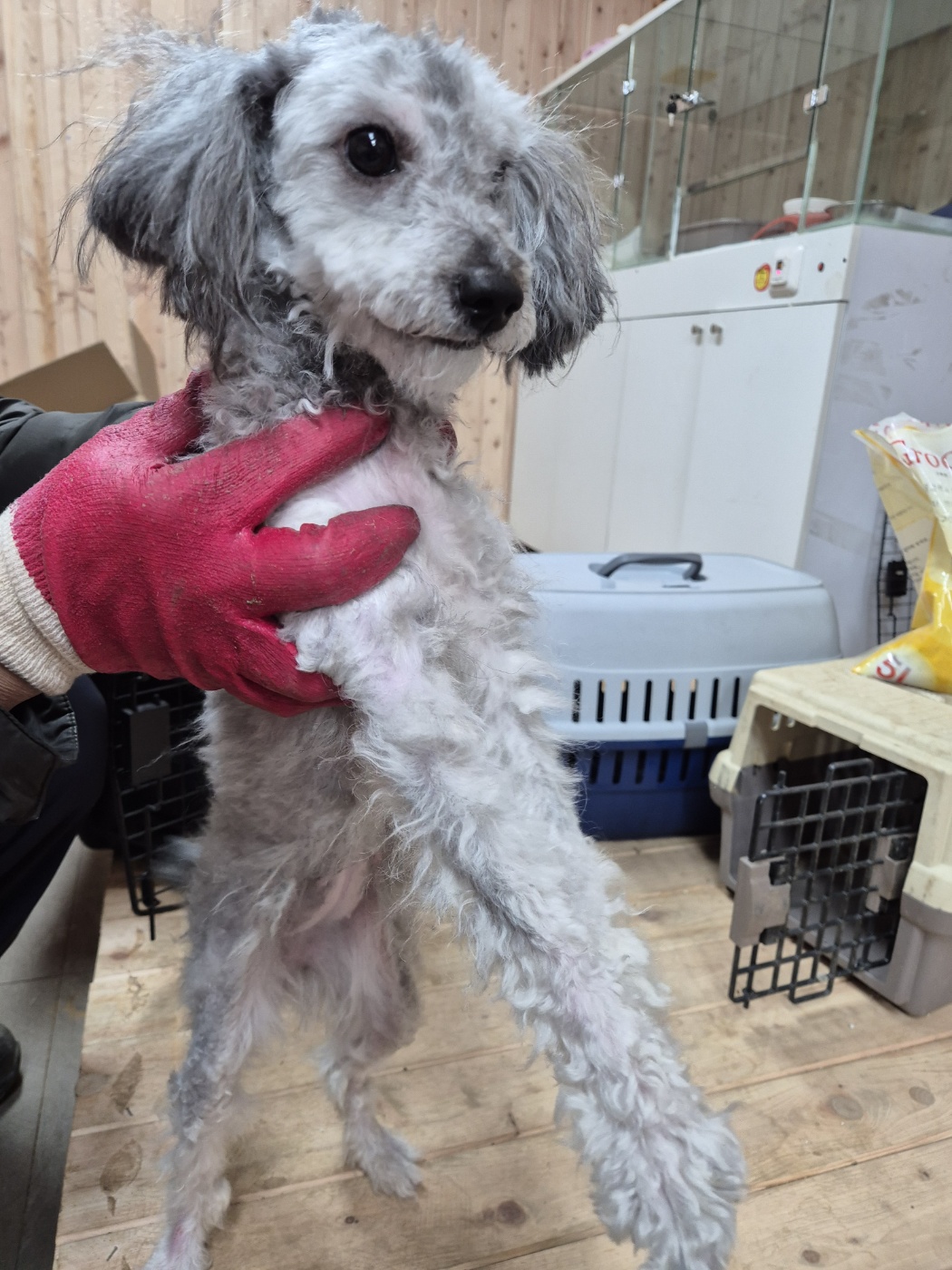 종료(기증) 토이 …