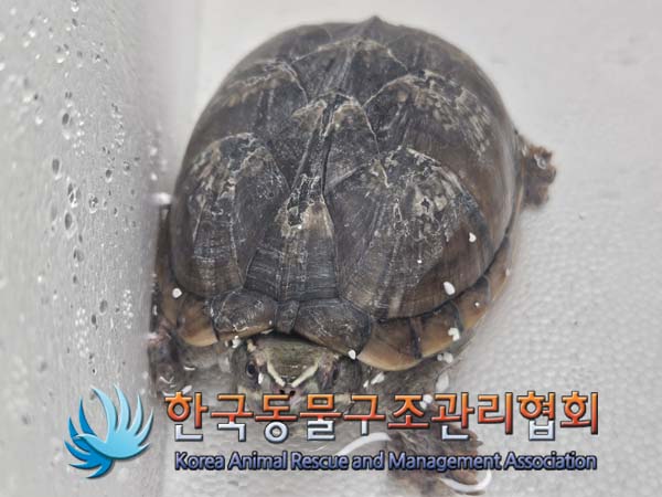 한국동물구조관리협회_411324202500003