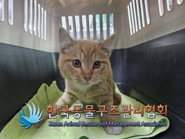 한국동물구조관리협회_441414202500001