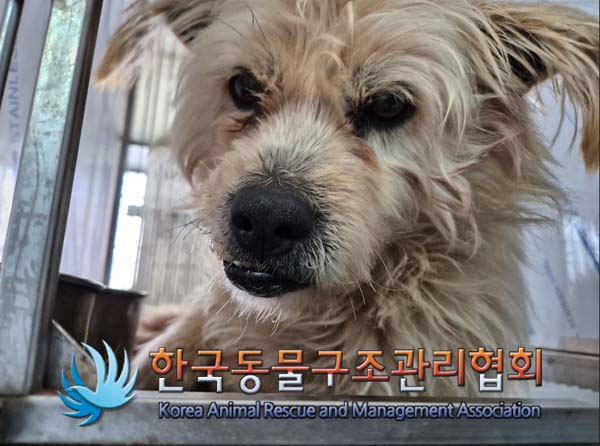 한국동물구조관리협회_441560202500010