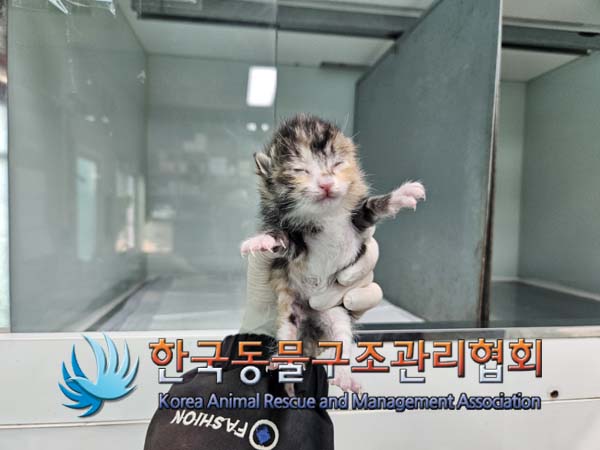 한국동물구조관리협회_411316202500003