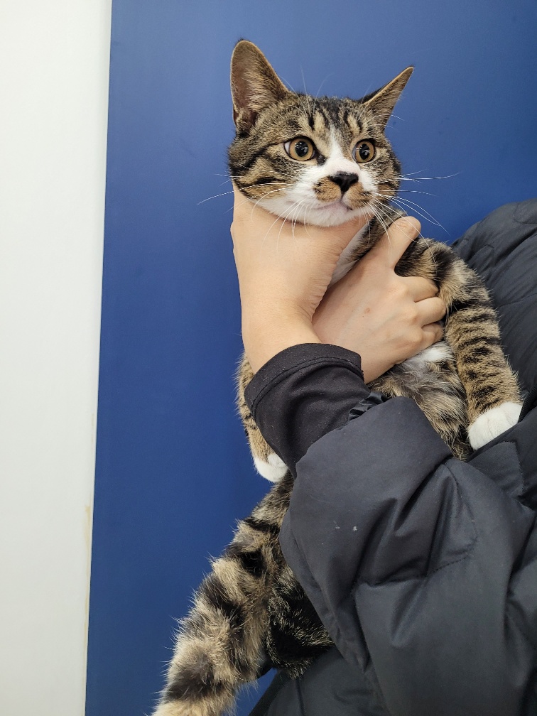 대구시수의사회(삼성)_427343202500006