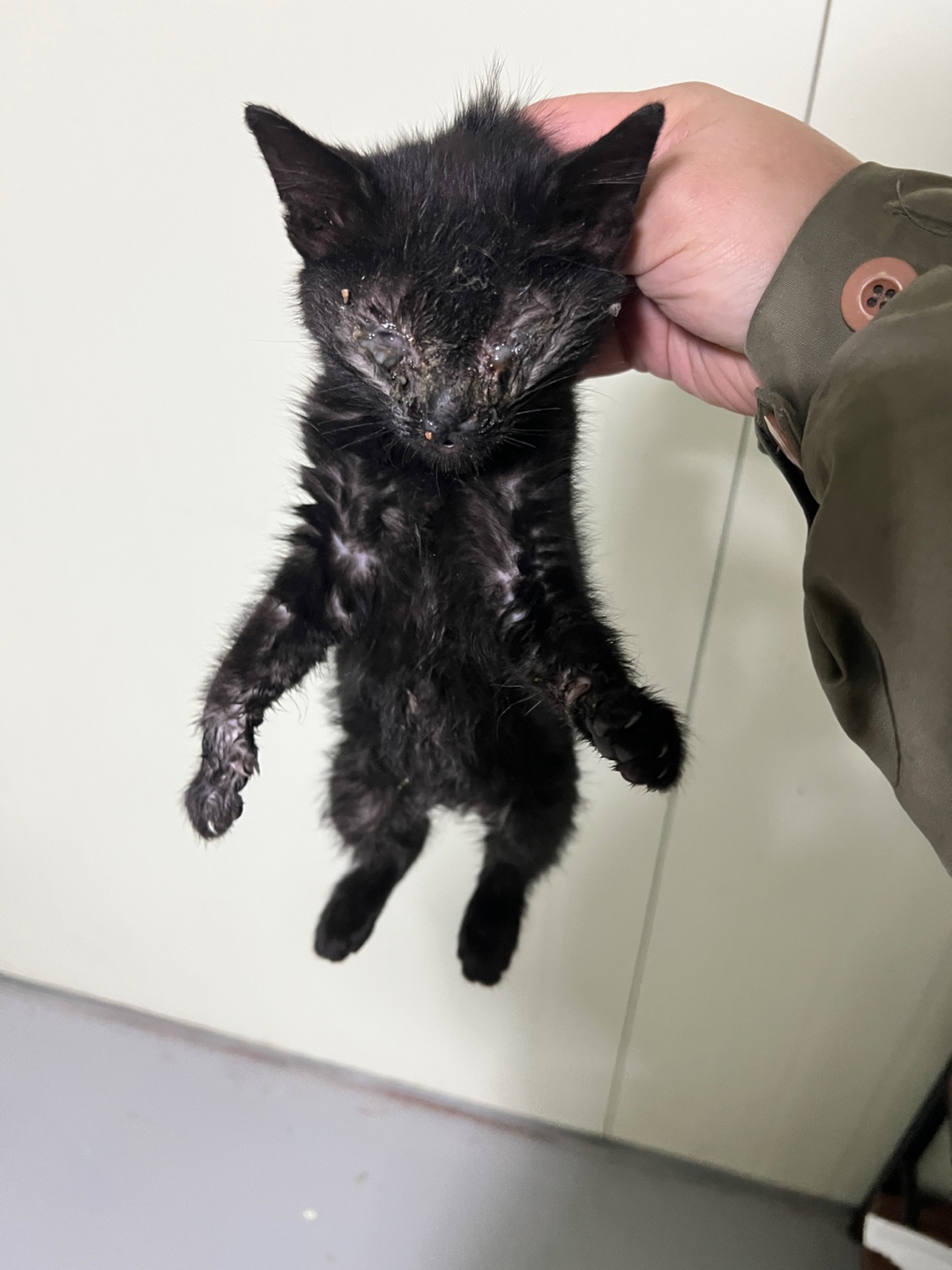 부산동물보호센터_426332202500004