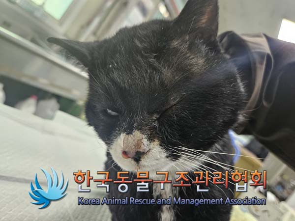 한국동물구조관리협회_441392202500002