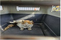 (사)동물보호관리협회_448535202500009