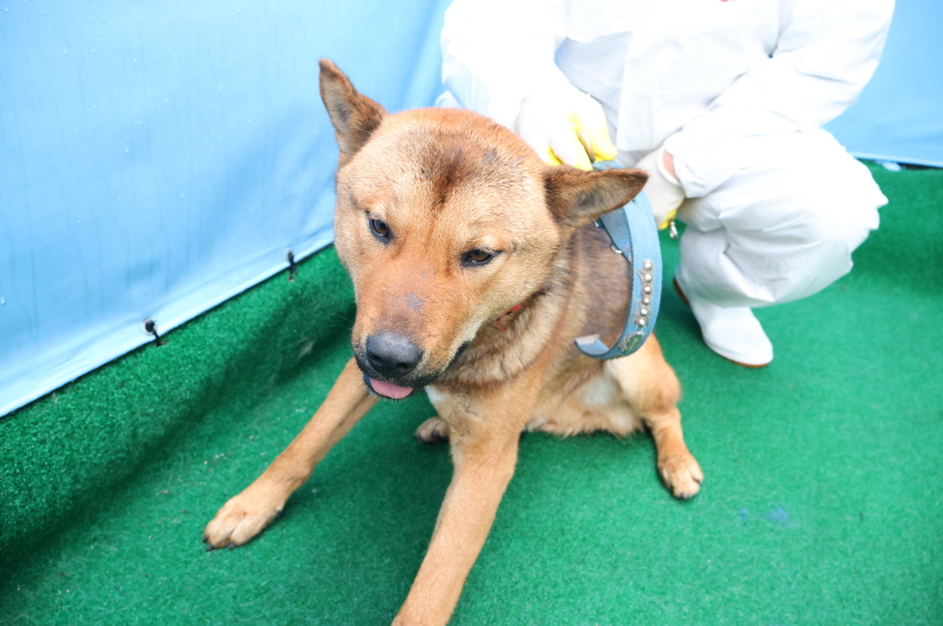 제주 동물보호센터_450650202500086