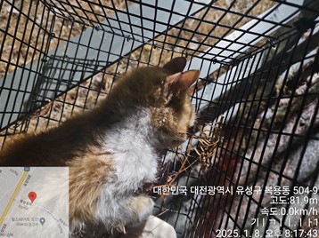 대전동물보호센터_430367202500015