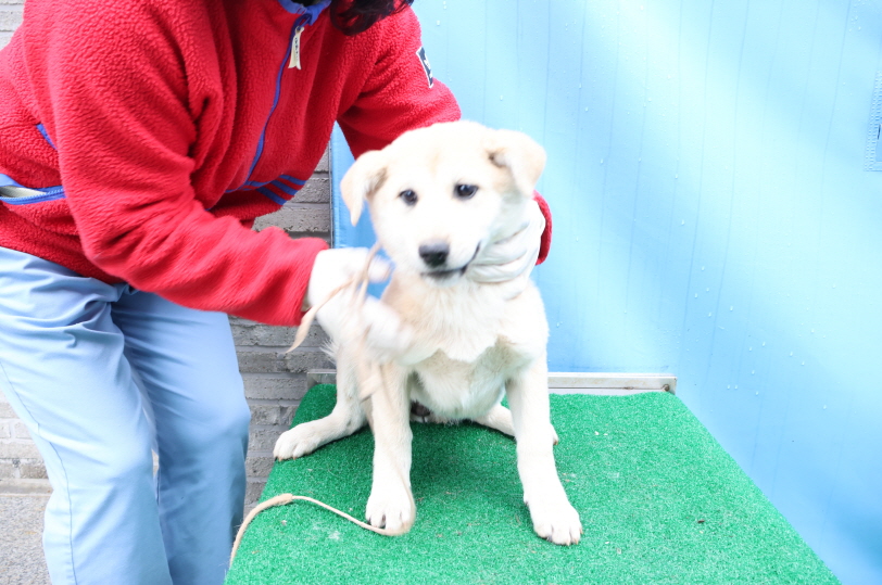 제주 동물보호센터_450650202500080