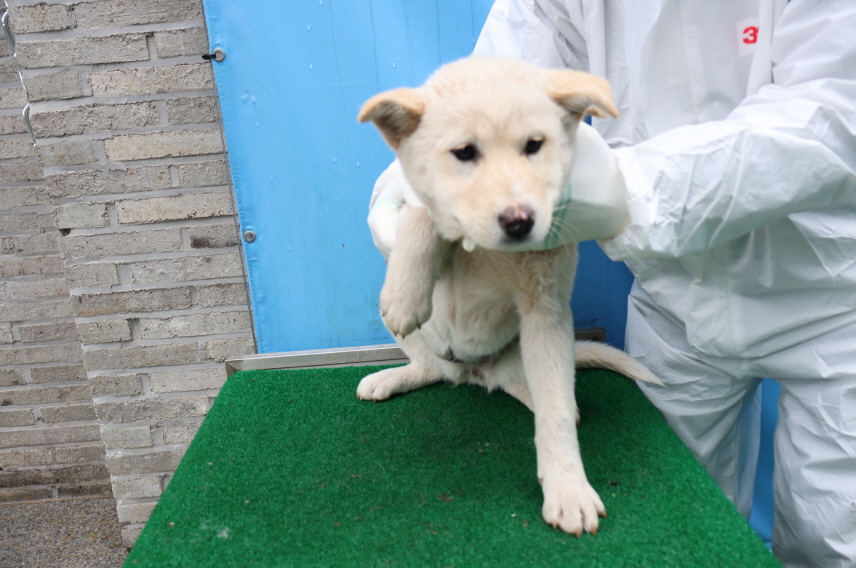 제주 동물보호센터_450650202500081