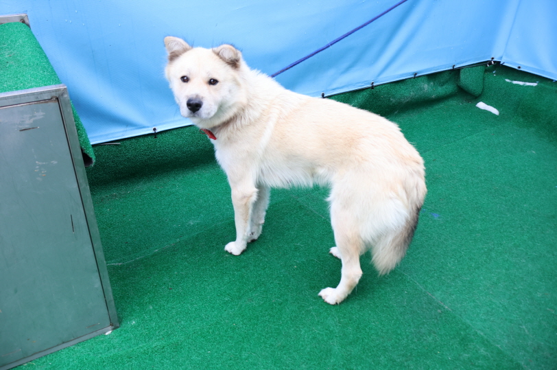 제주 동물보호센터_450650202500079