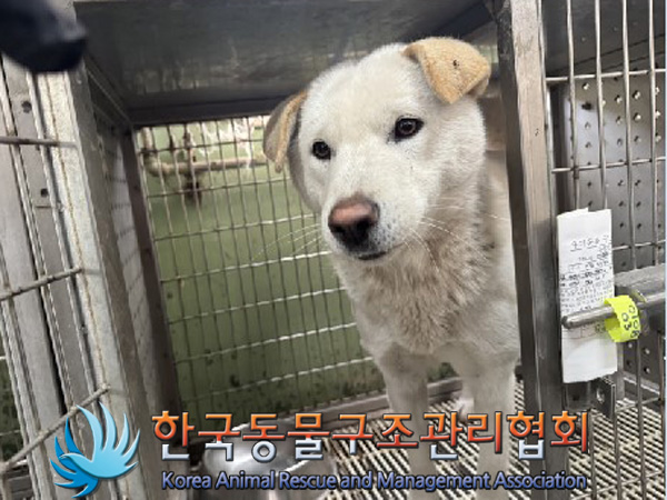 한국동물구조관리협회_441382202500004