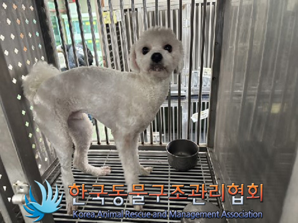한국동물구조관리협회_411304202500003