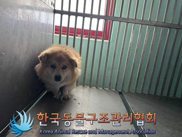 한국동물구조관리협회_441560202500017
