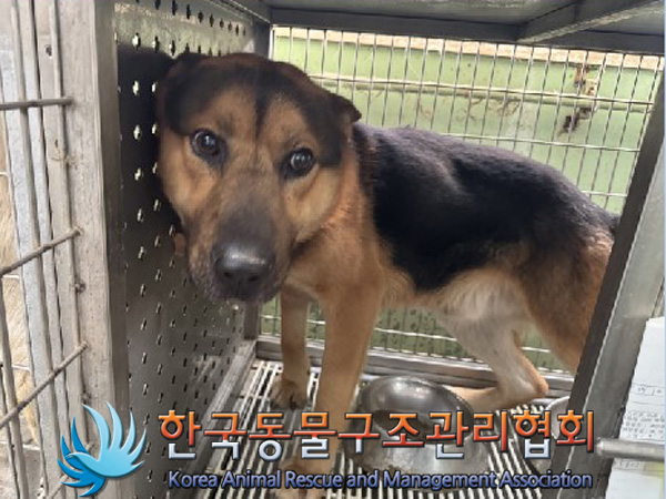 한국동물구조관리협회_441560202500014