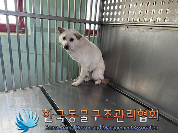 한국동물구조관리협회_441560202500018